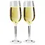 Набор бокалов для шампанского GSI Outdoors Champagne Flute Set (1099-79332) - миниатюра 1