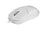 Миша REAL-EL RM-211 White (EL123200014) - мініатюра 1