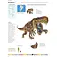 Encyclopedia of Dinosaurs - Меллинг Карл - миниатюра 2