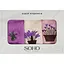 Набор полотенец Soho Lavender collection, 25х50 см, 3 шт., разноцветный (1178К) - миниатюра 1