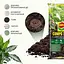 Торфосмесь для зелёных растений и пальм COMPO SANA® 20 л - миниатюра 8