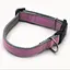 Нашийник для собак Zoo-hunt Стиль 2,0 см 25-38 см капроновий рожево-сірий - мініатюра 3