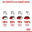 Вологий корм для кішок з чутливою шкірою і проблемною шерстю Royal Canin Intense Beauty, шматочки в соусі, 85 г - мініатюра 4