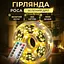 Новорічна гірлянда кімнатна Garlando 1000L100MGY Роса з пультом 100 м 1000 LED зелений дріт Жовте сяйво  - мініатюра 1