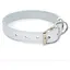 Нашийник для собак Zoo-hunt Весна шкіряний білий 2,5/36-46 см - мініатюра 1