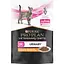 Уцінка. Вологий корм для котів Purina Pro Plan Veterinary Diets UR ST/OX Urinary з куркою 850 г (10 шт. x 85 г) (12308818) - мініатюра 5