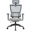 Офісне крісло OfficePro Elegant OC600-B-DG-DG Black/Dark Gray [148650] - мініатюра 1