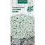 Семена Лобулярия Морская Насіння України Снежный ковер 0.2 г (766900) - миниатюра 1