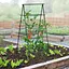 Огіркова решітка Yotoworth для кучерявих рослин, каркас для саду, грати для кімнатних та вуличних овочів, фруктів, чорна - мініатюра 2