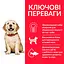 Сухий корм Hill's SP Puppy Large Breed C 0,8 кг для цуценят великих порiд зі смаком курки - мініатюра 3