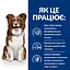 Сухий корм Hill’s Prescription Diet Derm Defense при атопічному дерматиті у собак, з куркою, 12 кг - мініатюра 4