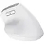 Мишка Trust Bayo+ Ergonomic Wireless/Bluetooth White (25399) - мініатюра 3