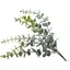 Искусственная ветка Эвкалипта 25 см Флористический материал для декора с эффектом "льда" - миниатюра 1