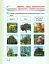 Я досліджую світ. 1 клас. Робочий зошит. Частина 2 - миниатюра 5