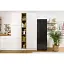Холодильник Gorenje NRK619EABXL4 с нижней морозильной камерой 185х60х60 см 2 двери Х 204 л М 96 л A+ NoFrost Plus Fresh zone черный - миниатюра 2