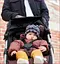 BabyJogger Дитяча коляска прогулянкова CITY MINI 4W 2, BRICK MAHOGANY (047406179046) - мініатюра 5