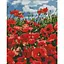 Алмазная мозаика Дивовижні маки Ідейка AMO7056 40х50 см - миниатюра 1