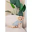 Шлея-жилет Pet Fashion Rob для собак розмір XS2 - мініатюра 10