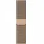 Смарт-часы Apple Watch Series 9+ LTE 45mm Gold Stainless Steel Case with Gold Milanese Loop (MRMU3) - миниатюра 4