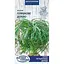 Насіння Ноліна Пляшкове дерево Насіння України кімнатна 4 шт. (746700) - мініатюра 1