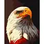 Картина за номерами "Орел" Art Craft 11678-AC 40х50 см - мініатюра 1