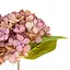 Квітка штучна Гортензія Elisey 33 см пастельна (2002-001/PINK)     - мініатюра 2