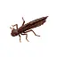 Силікон FishUP Dragonfly 1.2" #012 Chaos (10 шт/уп) - мініатюра 1
