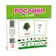 Развивающие детские карточки Растения 145596 на украинском и английском - миниатюра 1