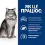 Сухий корм Hill's Prescription Diet для підтримання функції печінки з куркою 1.5 кг - мініатюра 7