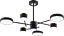 Люстра светодиодная акриловая Sirius B X13287/6 BK+FGD - миниатюра 1