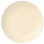 Тарілка обідня Limited Edition Sandy Cream 26.5 см (ZH-7013-1) - мініатюра 1