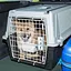 Переноска для дрібних та середніх собак великих порід кішок Ferplast CARRIER ATLAS 40 GREY PROFESSIONAL - мініатюра 2