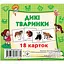 Розвиваючі картки для дітей Дикі тварини J011y, 18 картинок - мініатюра 1