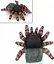 Іграшка на руку Dino Toys Павук червоноголовий 612 (Q9899-612) - мініатюра 3