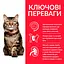 Сухий корм Hill SP Mature Adult 7+ Haiball Indoor виведення шерсті у котів від 7р. з куркою 1.5 до - мініатюра 2