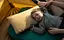 Подушка Sea to Summit Foam Core Pillow, Large Бежевый - миниатюра 5