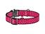 Ошейник для животных WAUDOG Nylon "Арбуз" металлическая пряжка-фастекс L (5148) - миниатюра 2
