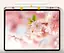 Чехол-книжка DK для Apple iPad Air 13" M2 2024 экокожа/силикон Smart Case cлот cтилус (017899) pink sand - миниатюра 4