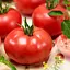 Томат Садиба Пінкджейн F1, 10 шт. - мініатюра 1