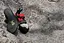 Скальники Scarpa Force (70020-001) 39,5 Чорний-Червоний - миниатюра 3