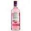 Джин Finsbury Wild Strawberry 37.5% (2 шт. x 0.7 л) - мініатюра 3