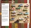Sneakers. The Complete Limited Editions Guide - миниатюра 4