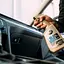 Полироль для торпеды K2 Protectant жидкая матовая без аромата 750 мл - миниатюра 5