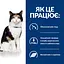 Сухий корм Hill's Prescription Diet y/d для котів для догляду за щитоподібною залозою 1.5 кг - мініатюра 7