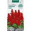 Насіння Сальвія блискуча Насіння України 0.2 г червона (801200) - мініатюра 1