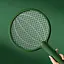 Электрическая мухобойка Xiaomi Qualitell Electric Mosquito Swatter C1 Green (ZSC210902) [88379] - миниатюра 2