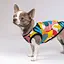 Майка-борцовка Pet Fashion Cool для собак, розмір XS, з принтом - мініатюра 5