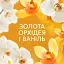Кондиціонер для білизни Lenor Золота орхідея і ваніль 94 цикли прання 2x987 мл - мініатюра 4