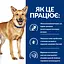 Сухий корм Hill’s Prescription Diet i/d для собак догляд за травленням з куркою 5 кг - мініатюра 7