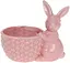 Декоративное кашпо Кролик с корзинкой Bona 16х10.5х14 см sad0001444 - миниатюра 1